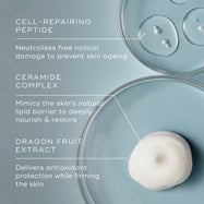 Advanced Night Restore (Travel Size)