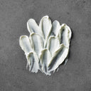 Advanced Day Total Protect™ (Travel Size)